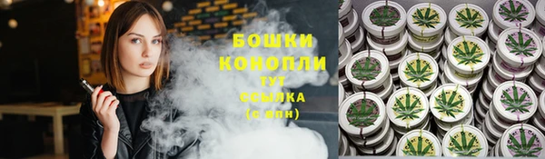шишки Баксан