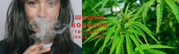 шишки Баксан
