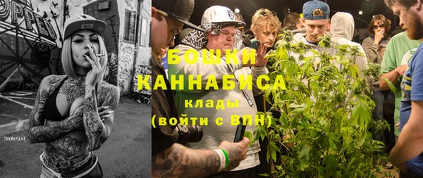 шишки Баксан