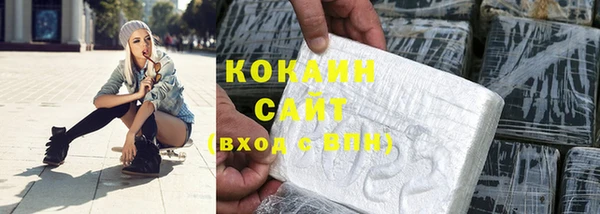 шишки Баксан